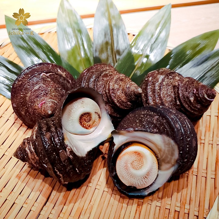Blog - 8